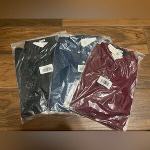 Three brand new Hollister Polos